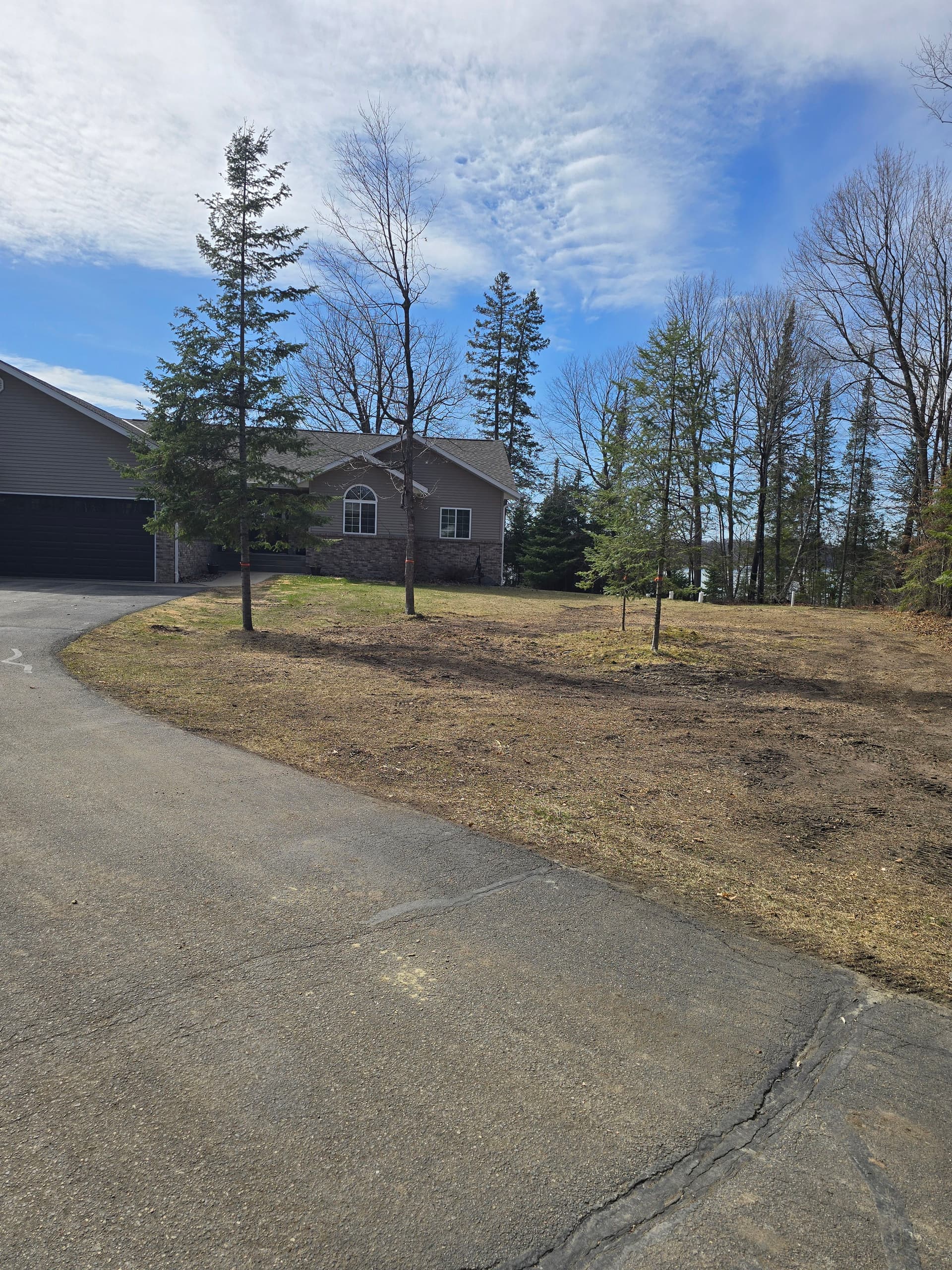 Gallery photos for 24 Trees Removed and a Yard Completely Opened Up: Image #2