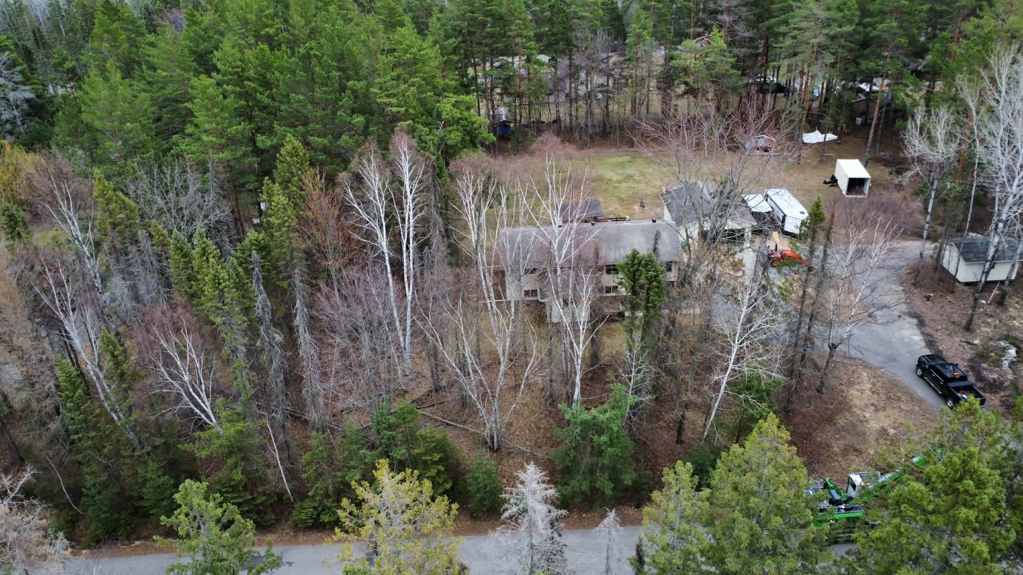 Wooded Property Cleared Down to Usable Ground