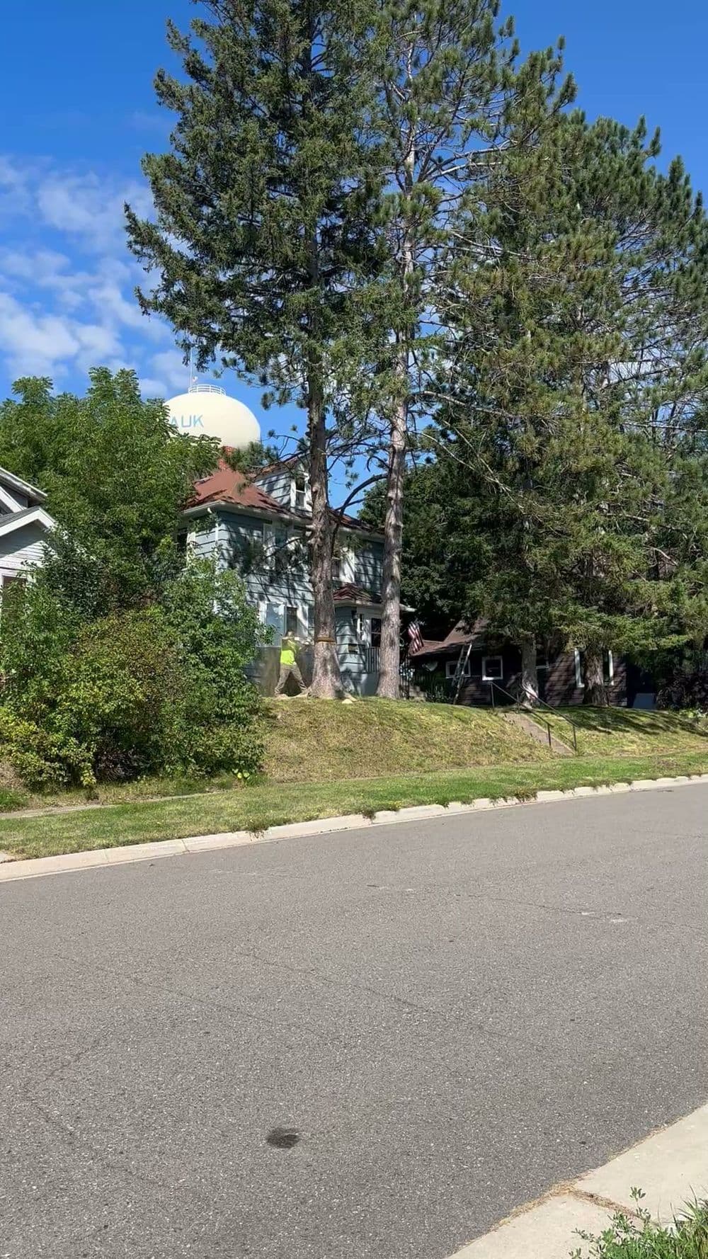 Water tower visible behind tall trees and residential homes on a sunny day.