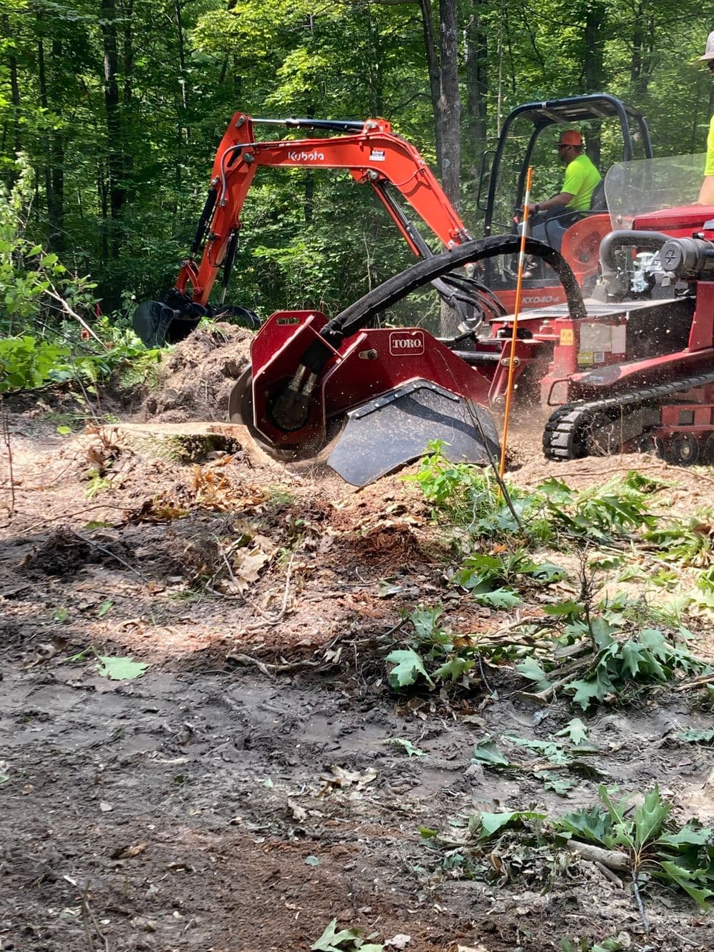 Tree removal equipment clearing underbrush in a forested area with workers present.