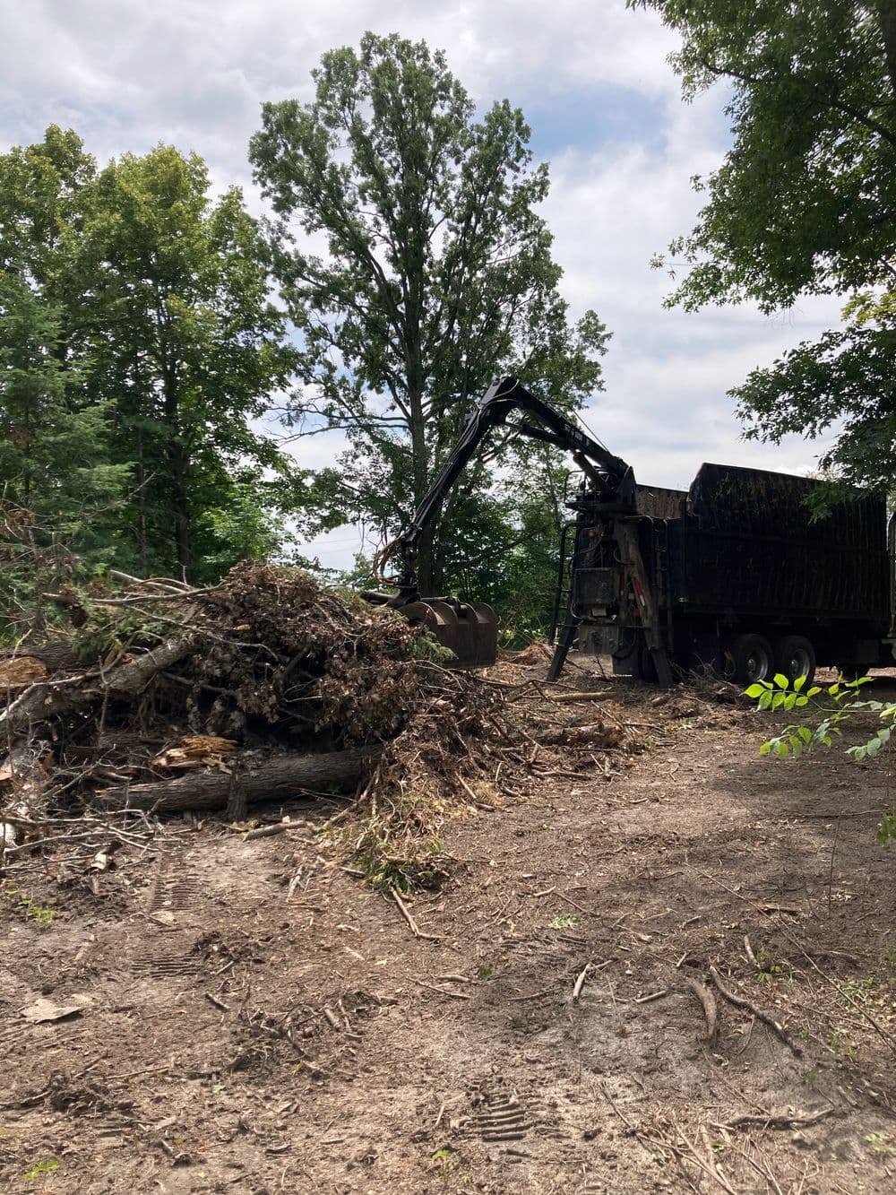 Truck with crane removing tree debris in forested area during land clearing project.