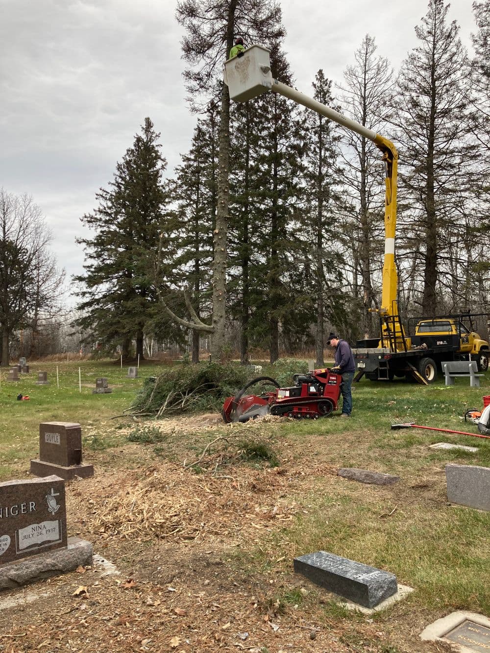 Tree removal equipment in a cemetery with a worker in a lift and wood chipper in use.
