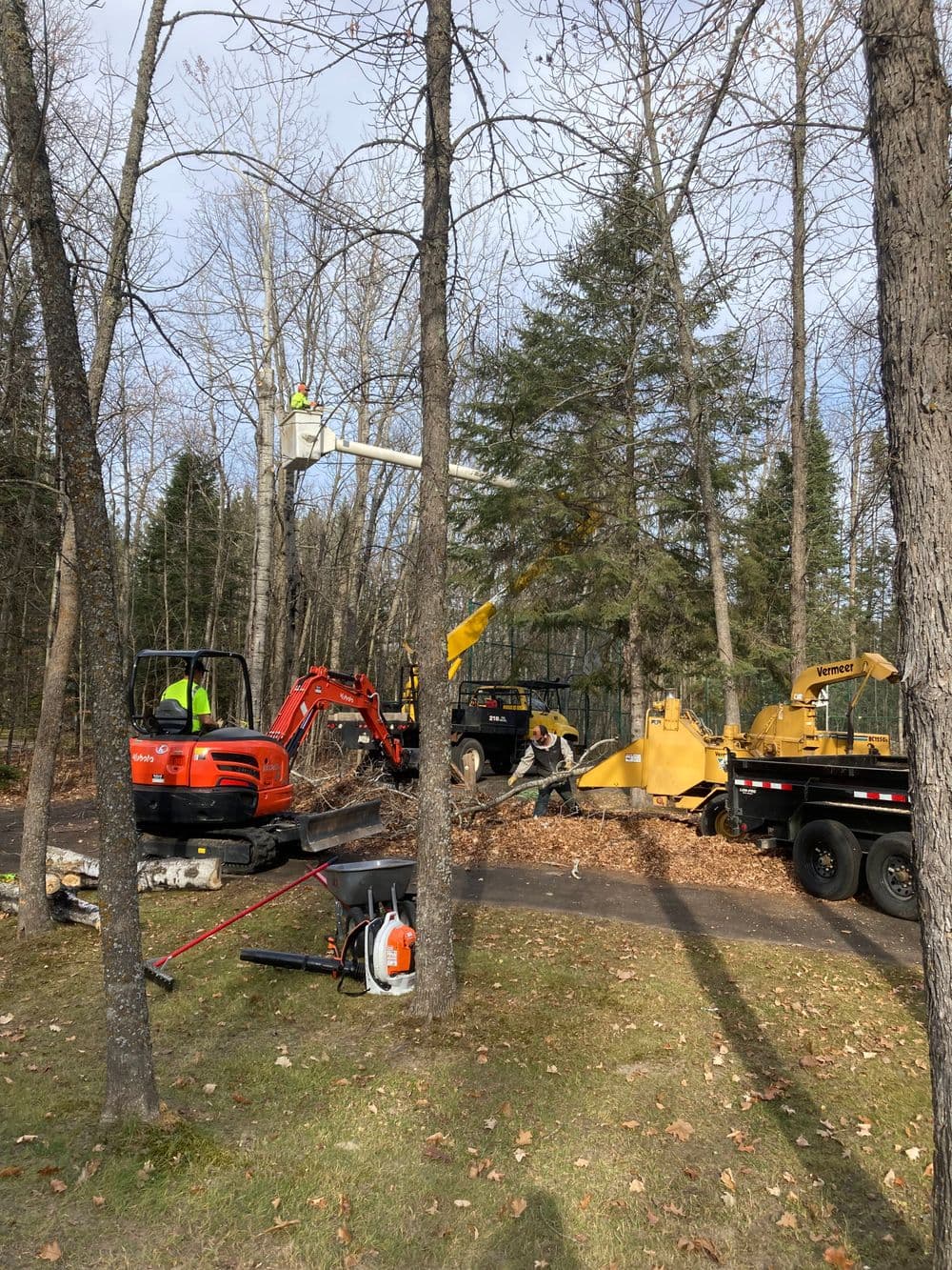Tree maintenance crew using heavy machinery to clear leaves and debris in a wooded area.