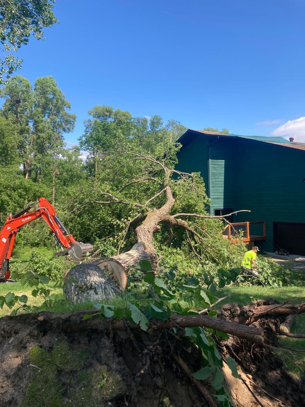 Tree Removal image