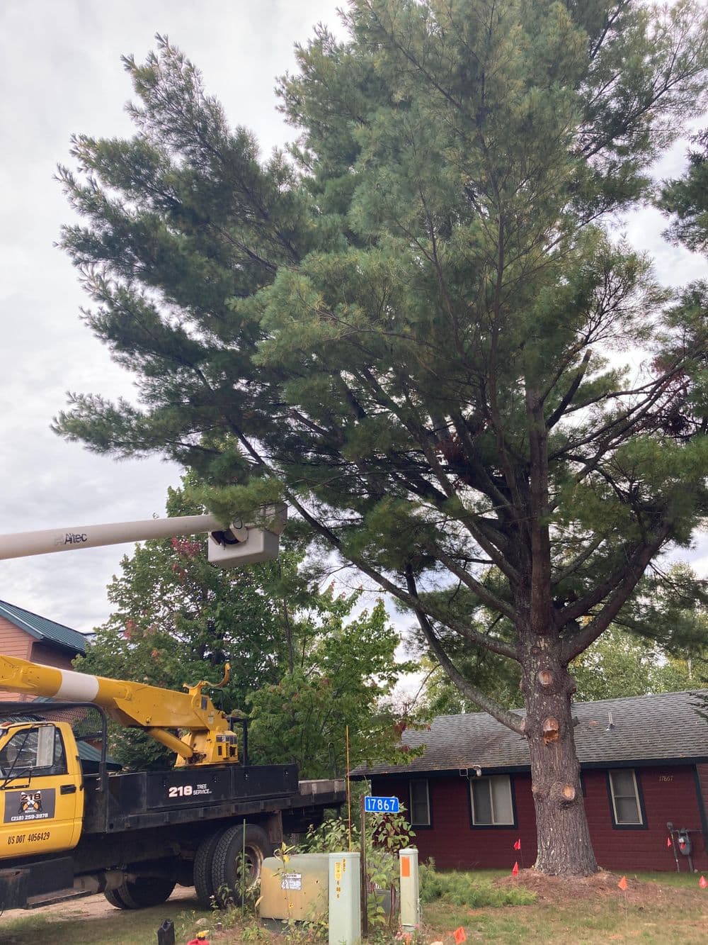Tree pruning with a bucket truck in front of a house, showcasing professional landscaping work.