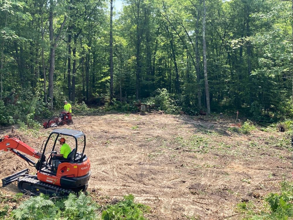 Excavation crew clearing land in a forested area with heavy machinery and landscaping tools.
