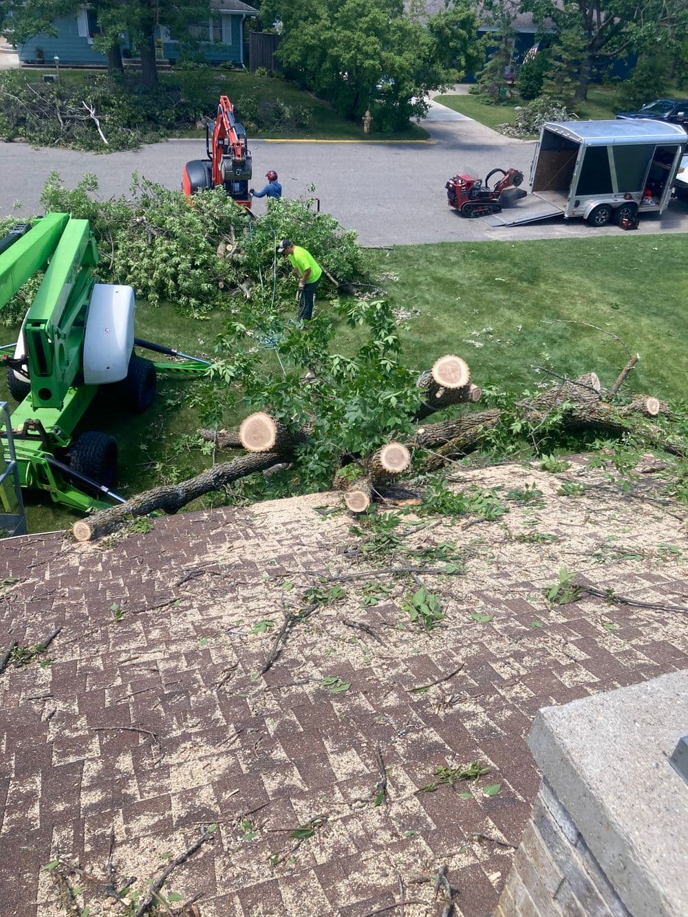 Tree removal service in action, with workers clearing branches and logs from lawn.