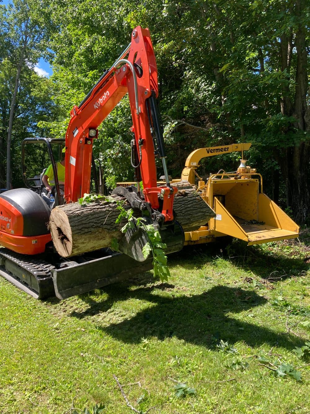 Excavator removing logs on a green lawn with a wood chipper nearby, surrounded by trees.