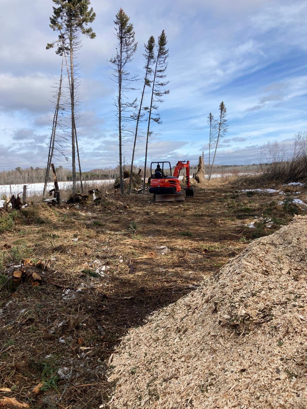 Excavator clearing trees along a snowy pathway in a forested area with scattered wood chips.