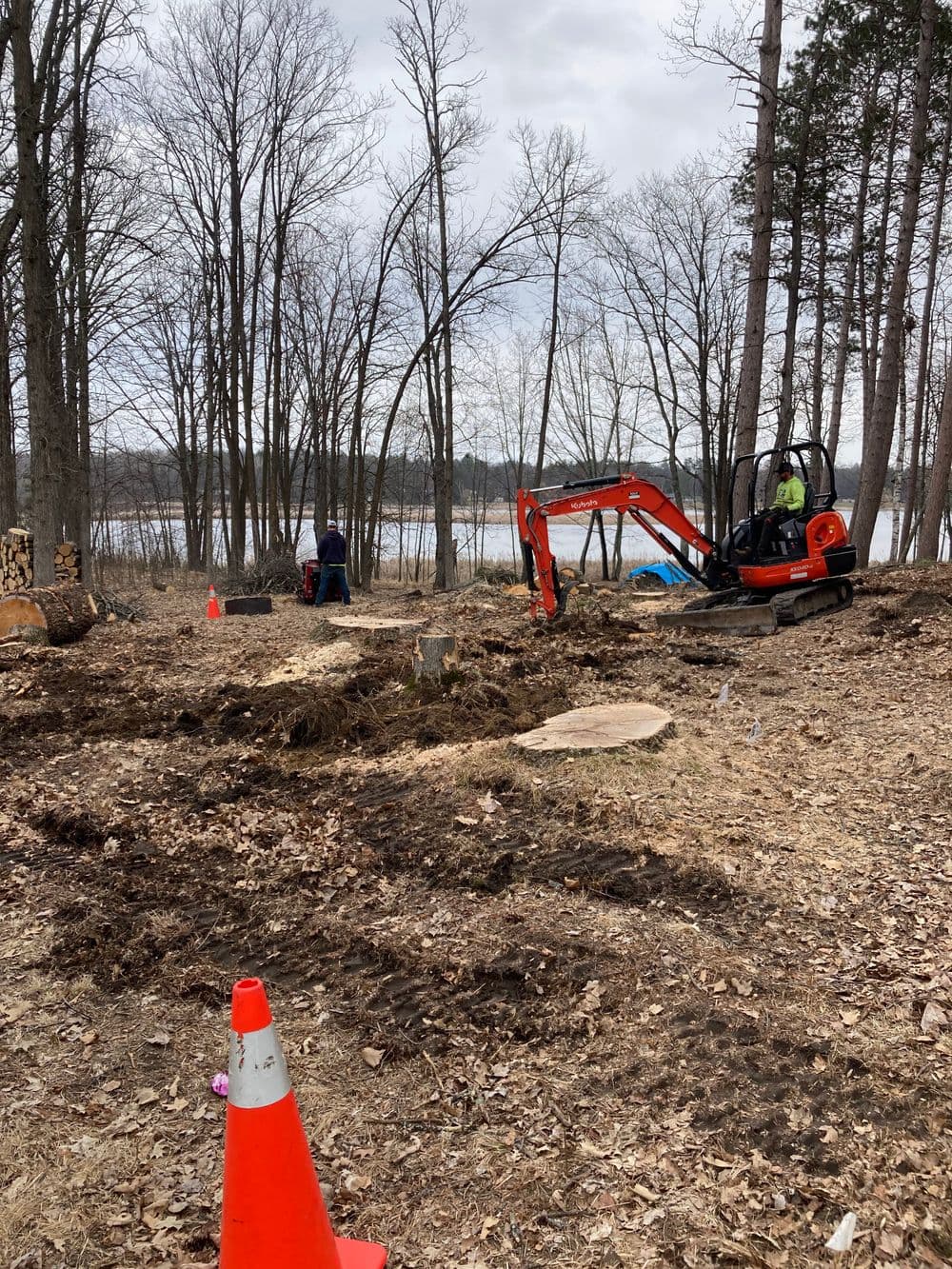 Excavator working on land clearing near a lake surrounded by barren trees.